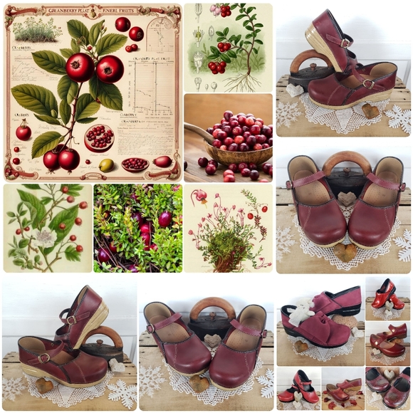 ROse RED Dansko Pro Honey Clog Oiled Leather Festive Cottage Boho 37 38 39 41 42 - Picture 4 of 9